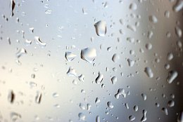 露珠水珠背景