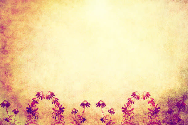 怀旧花卉植物背景边框素材免费下载_觅元素