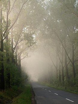 城市公路摄影