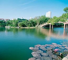 城市公园背景