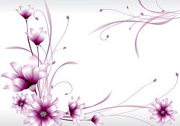 花朵插画