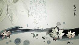 荷花写意思