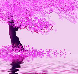 鲜花树木湖泊风景