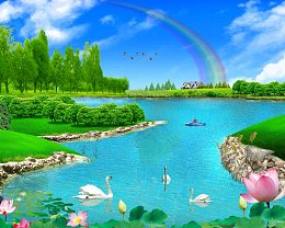 美丽风景