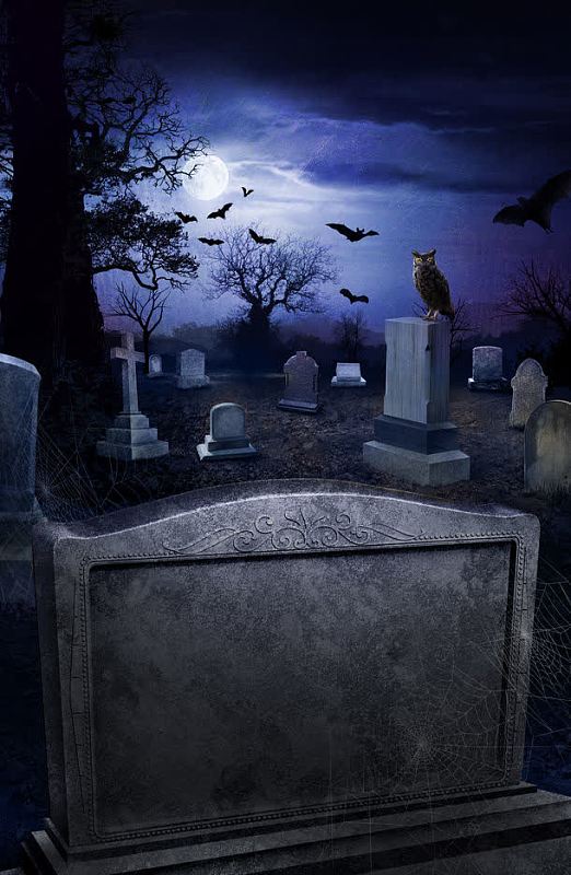 猫头鹰月共6735个结果