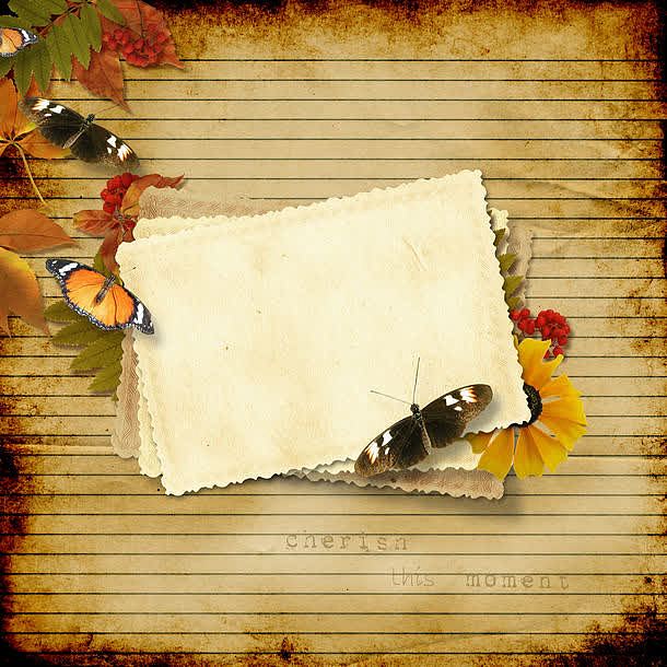 信纸与蝴蝶
