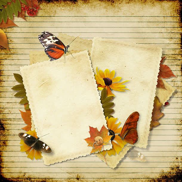 蝴蝶与纸张
