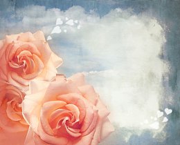 玫瑰鲜花背景