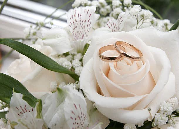 玫瑰花上的结婚戒指