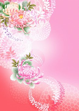 精美菊花背景高清