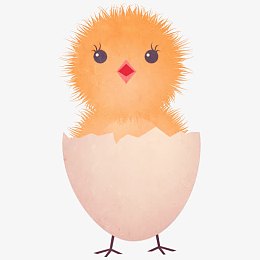 鸡年素材