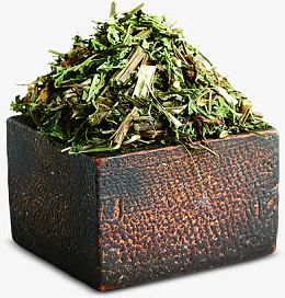 盒子里的绿色中药医院