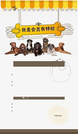 宠物店