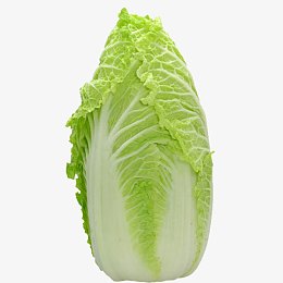 白菜图片素材