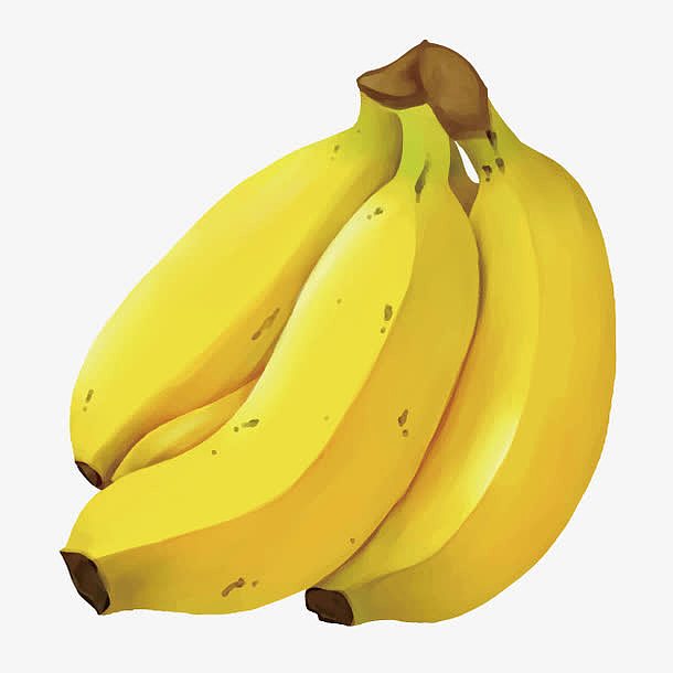 手绘水果素描 香蕉
