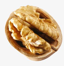 高清核桃图片