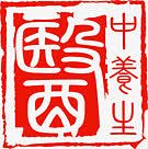 中国风红色文字中医印章