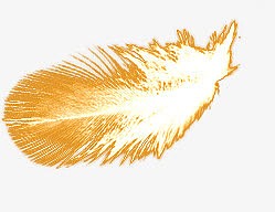 金色线条羽毛装饰
