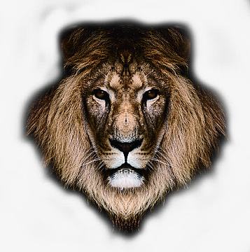 狮子金属头像严肃