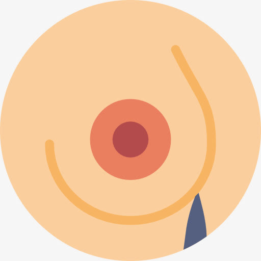 乳腺图标