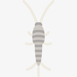 Silverfish 图标
