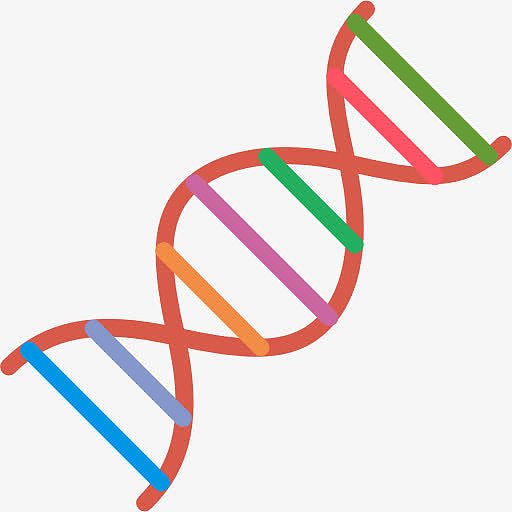 DNA 图标