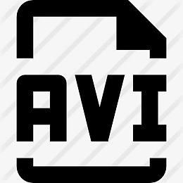 AVI 图标