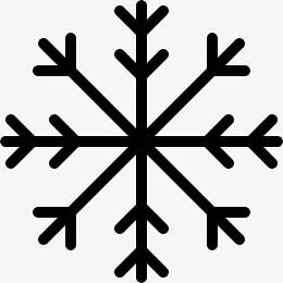 Snowflake 图标