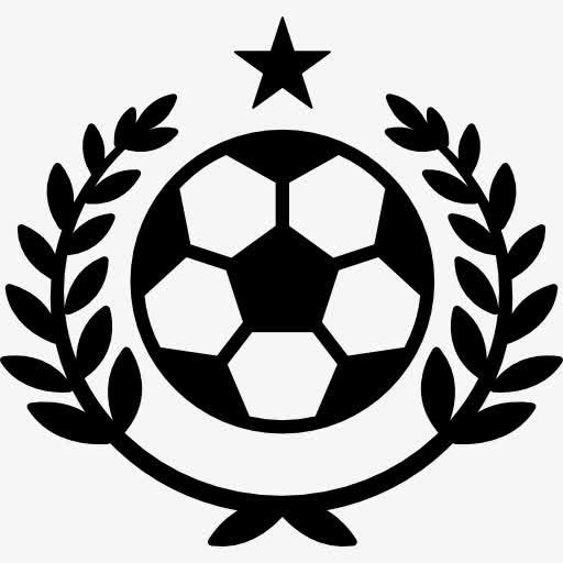 胜利足球的象征图标