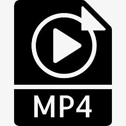 MP4 图标