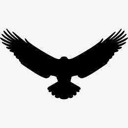 鹰图标