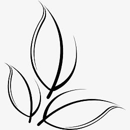植物叶片图标