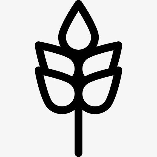 枝五叶图标