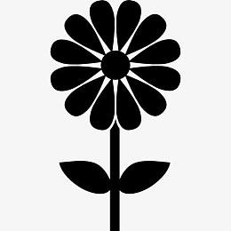 菊花干图标