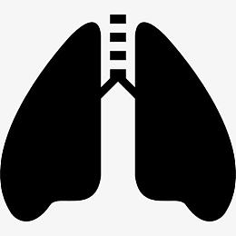 肺与气管图标