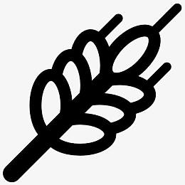 小麦叶图标