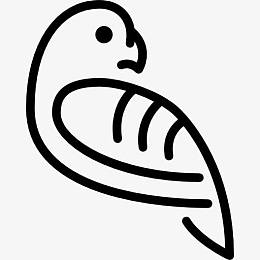 Parrot 图标