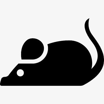 老鼠宠物玩具(790x846)png可爱小仓鼠手绘(800x801)png可爱小仓鼠奔跑