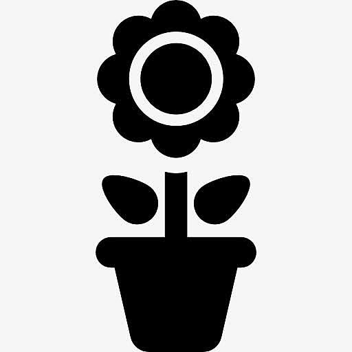 菊花盆栽图标