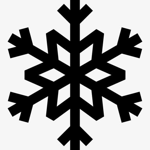 wintersnowflake图标