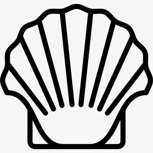 贝壳图标