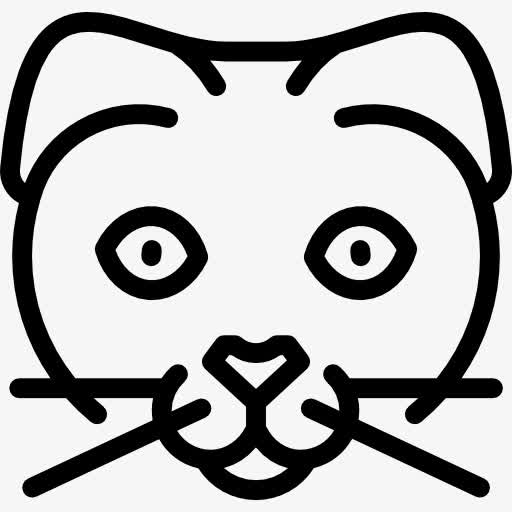 苏格兰折耳猫图标