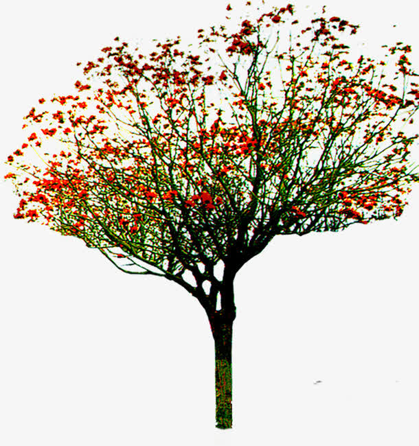 创意高清摄影红色树木免抠素材免费下载_觅元素51yuansu.com