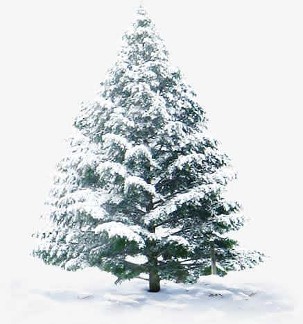 雪树圣诞促销海报