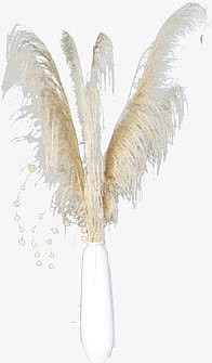 白色洁白羽毛创意