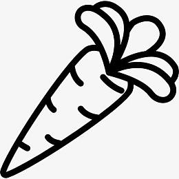 Carrot 图标