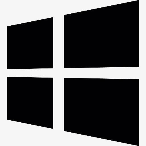 Windows平台的标志图标