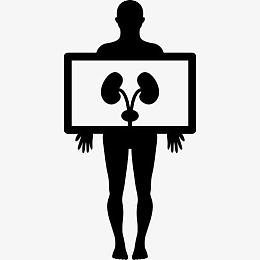 肺部图像对人的手图标