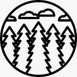 云杉图标