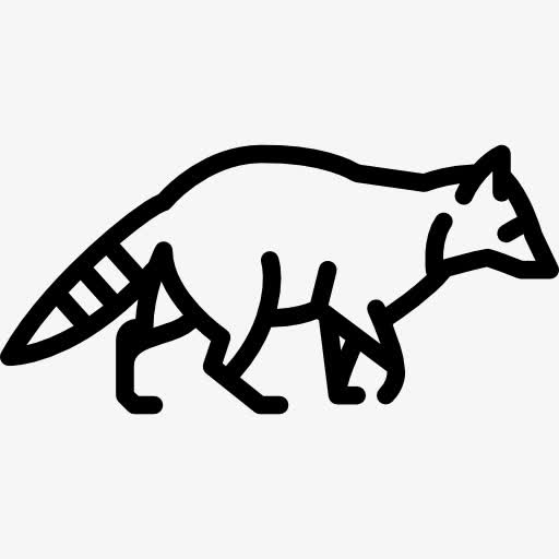 racoon 图标